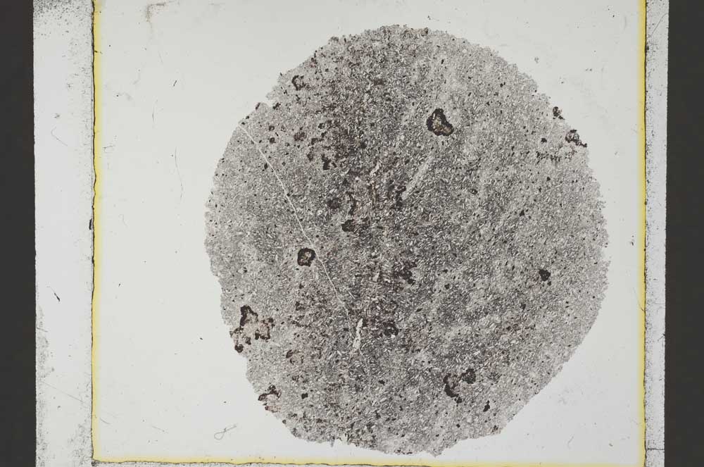 Plane Polarized, S34794