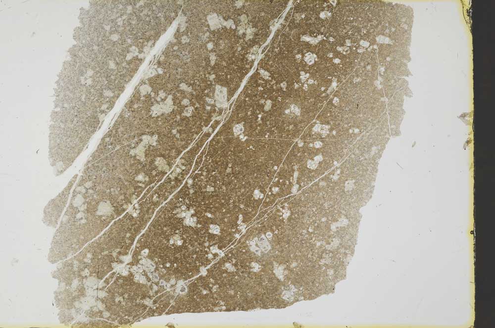 Plane Polarized, S34816