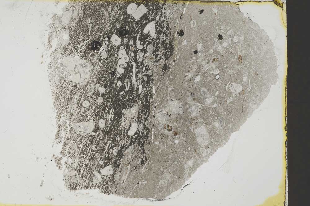Plane Polarized, S34818
