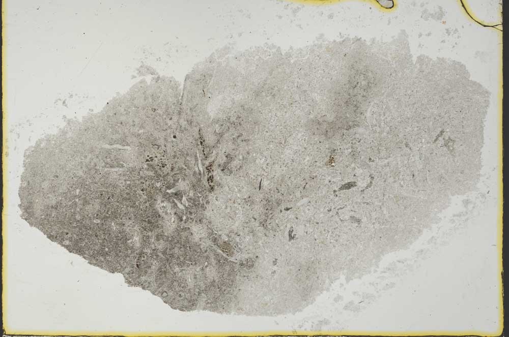 Plane Polarized, S34821