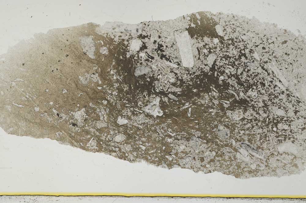 Plane Polarized, S34825