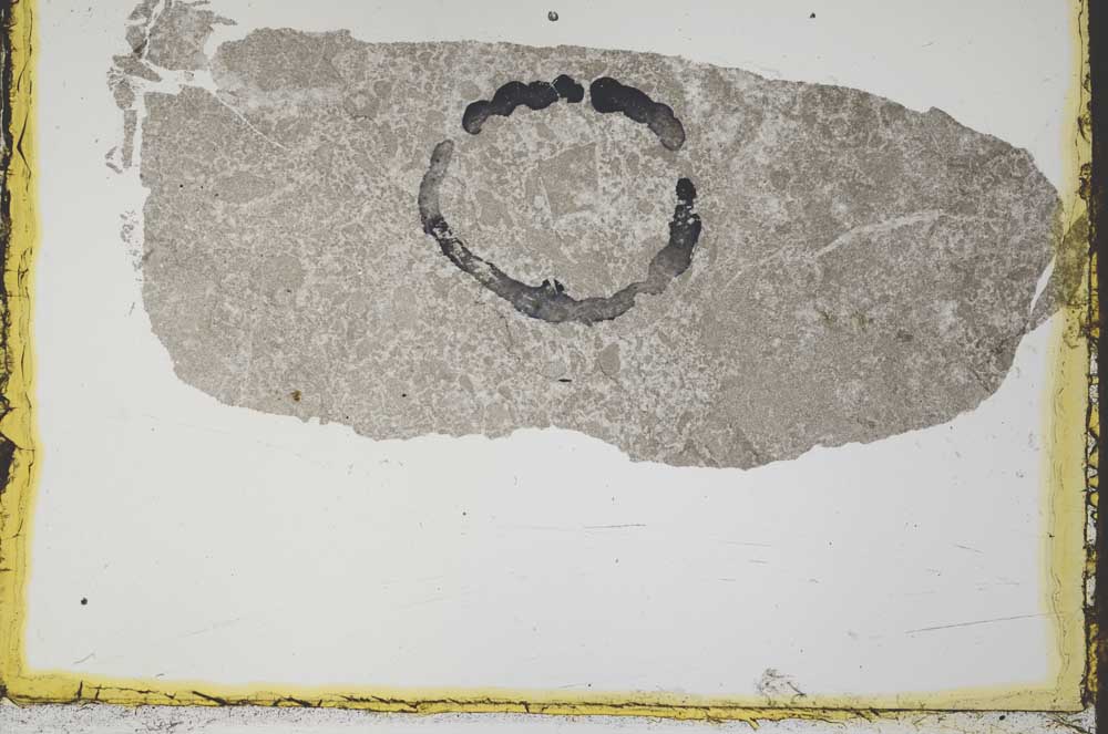 Plane Polarized, S34839