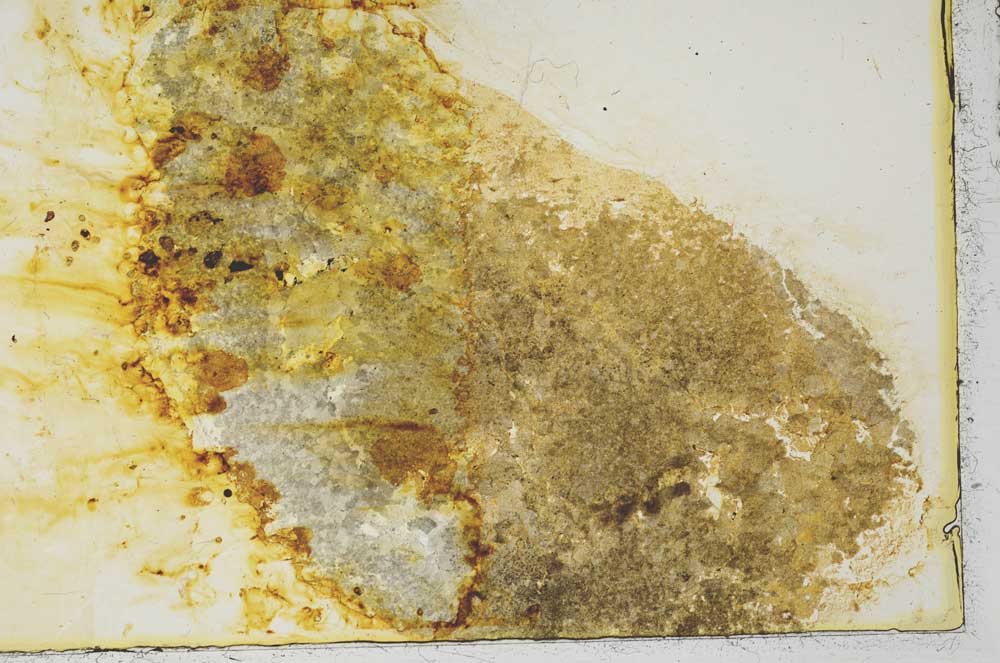 Plane Polarized, S34840/A