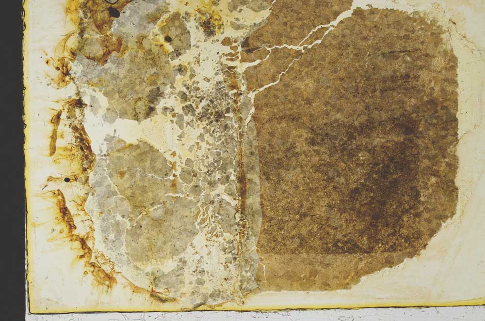 Plane Polarized, S34841/A