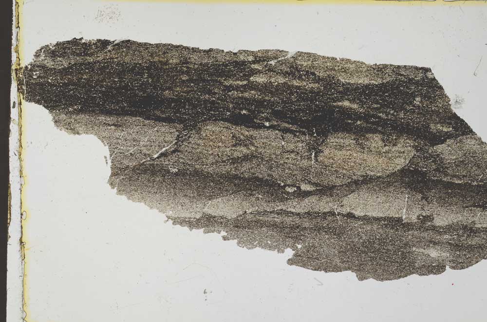 Plane Polarized, S34866