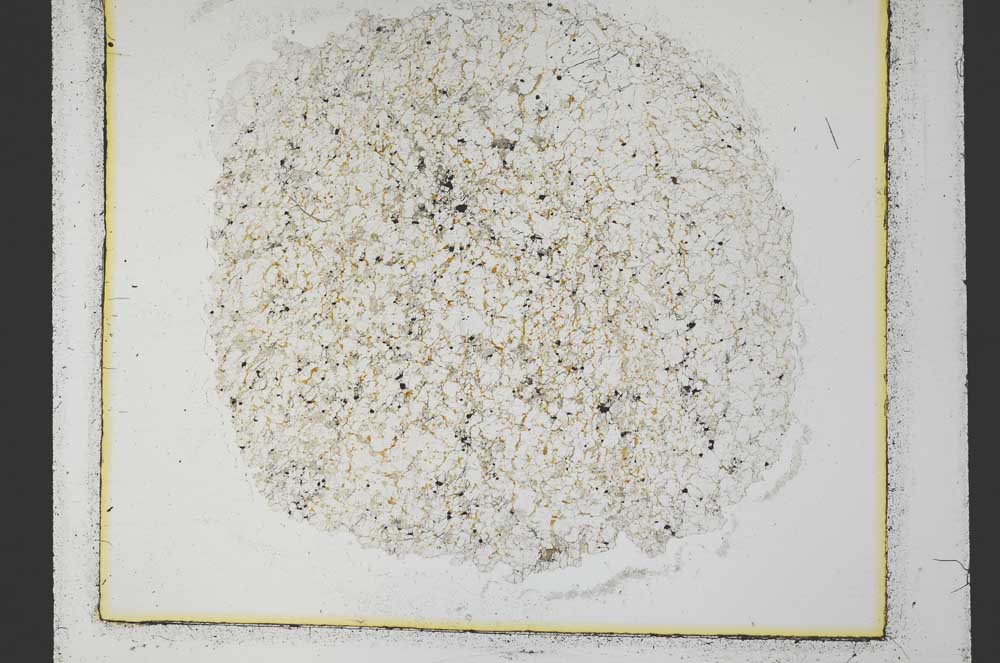 Plane Polarized, S34882