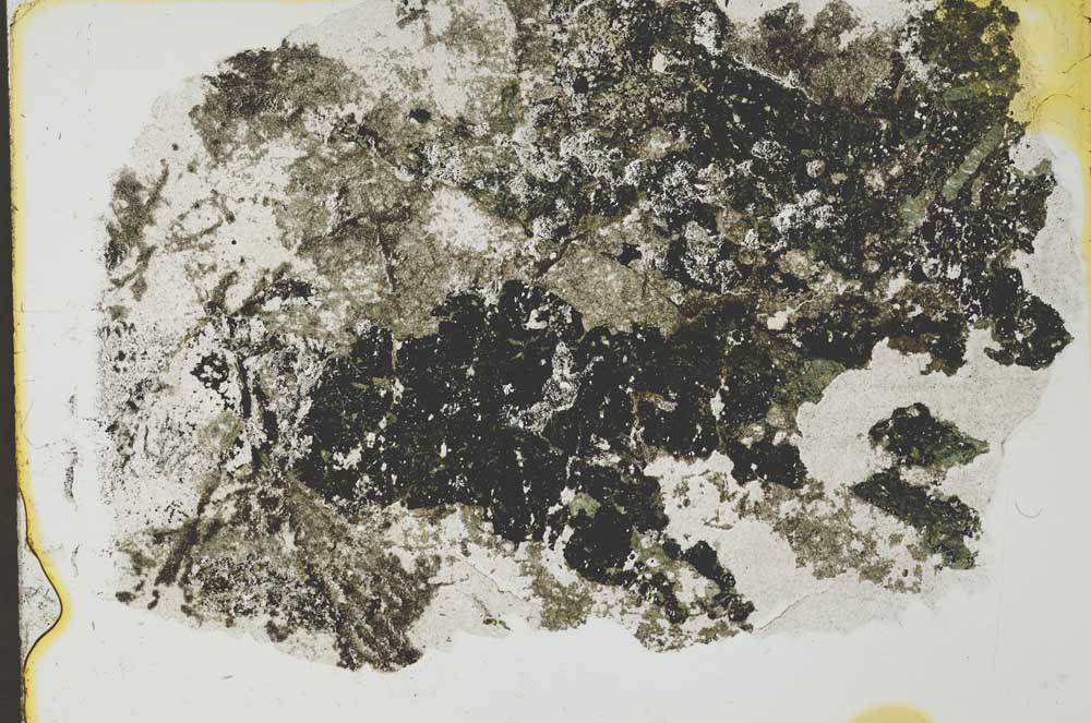 Plane Polarized, S34907