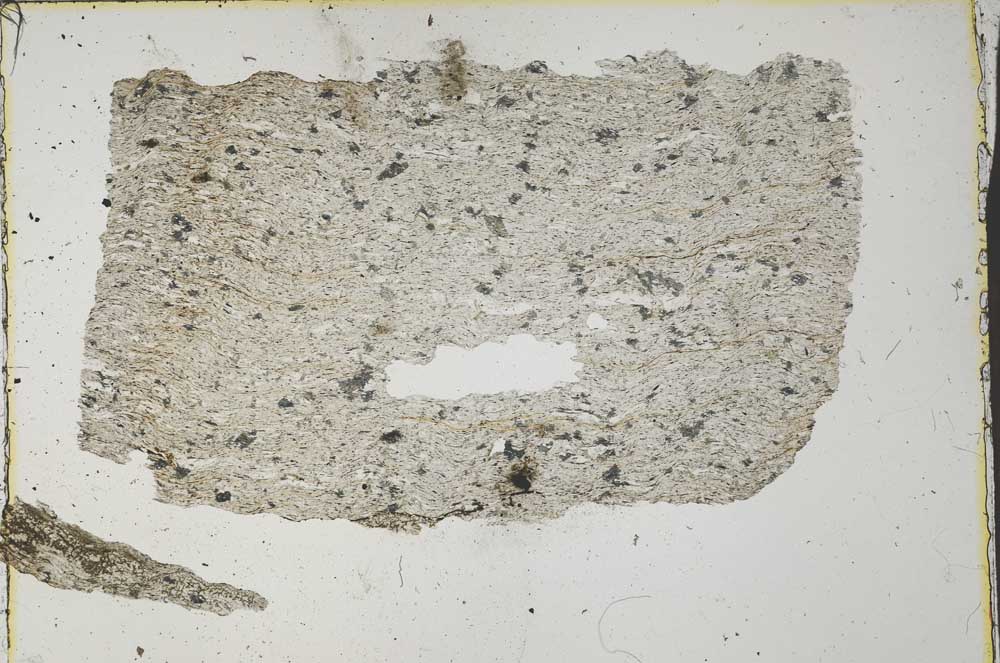 Plane Polarized, S34912