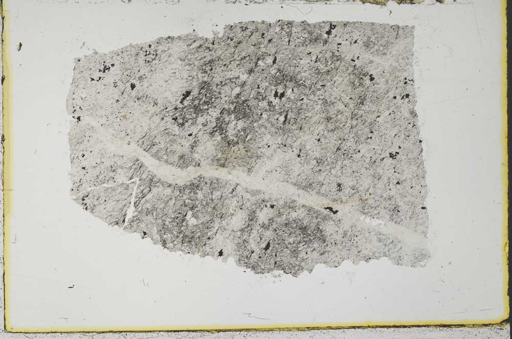 Plane Polarized, S34919