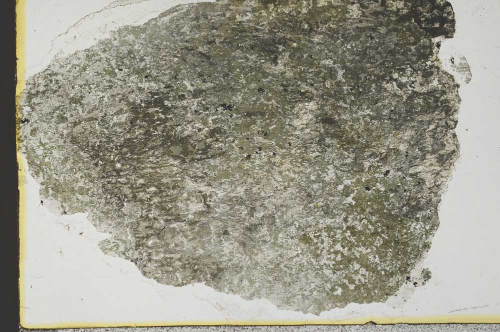 Plane Polarized, S34961