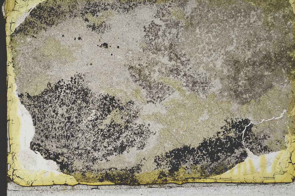 Plane Polarized, S34962