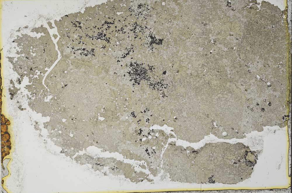 Plane Polarized, S34963