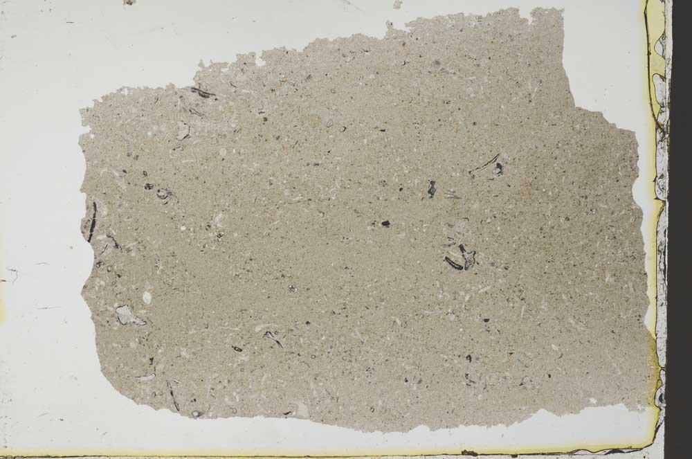 Plane Polarized, S34973