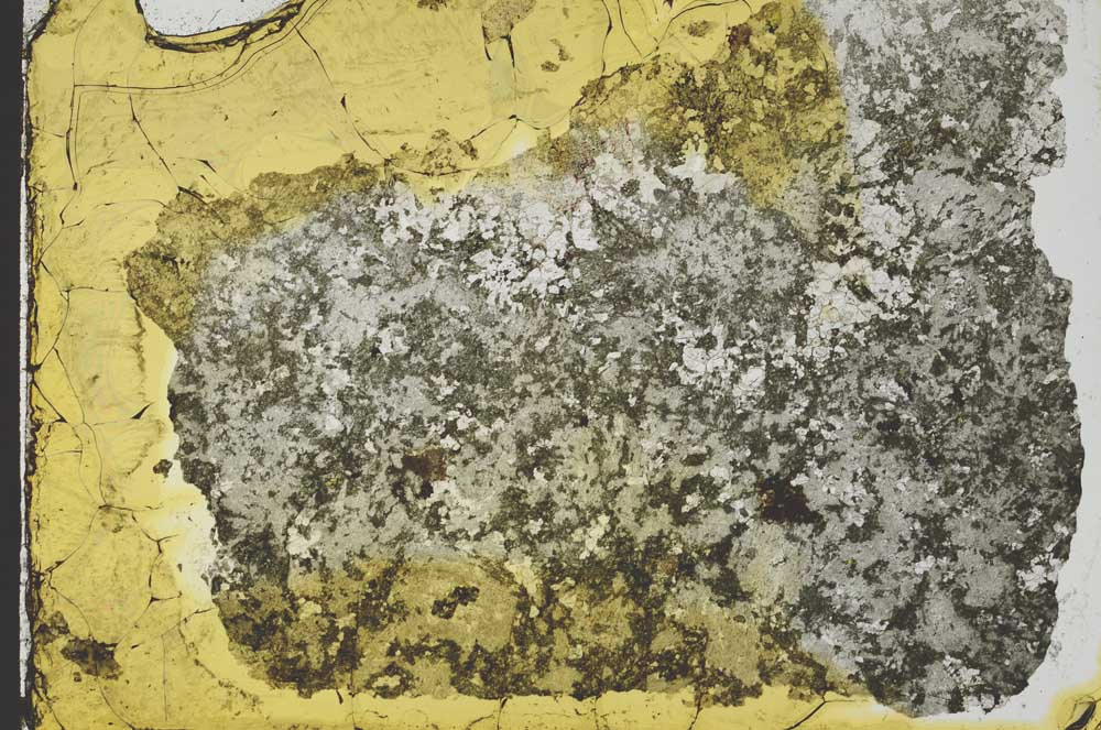 Plane Polarized, S34974
