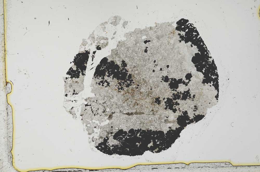Plane Polarized, S34979