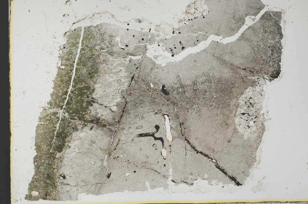 Plane Polarized, S34981