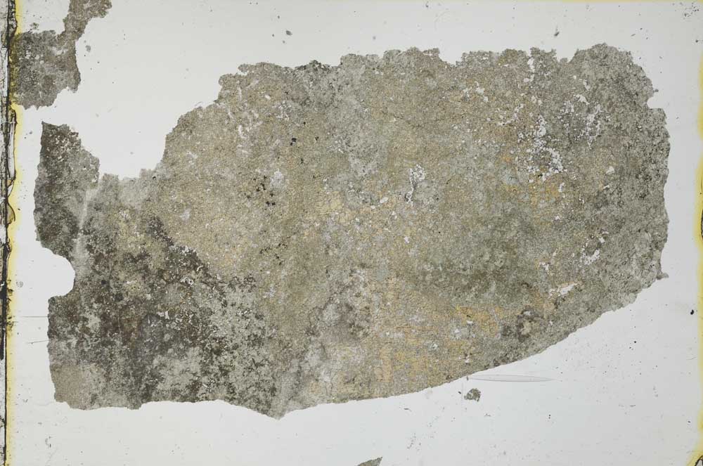 Plane Polarized, S35006/A