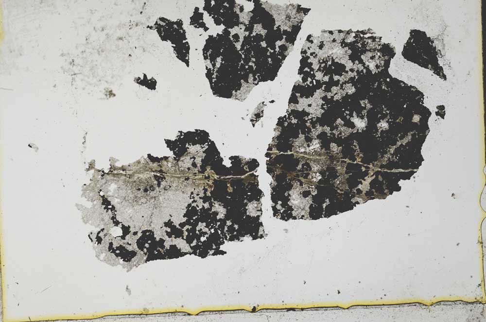 Plane Polarized, S35023