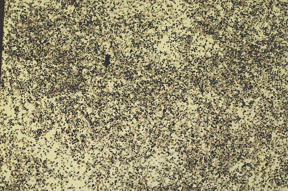 Plane Polarized, S35057