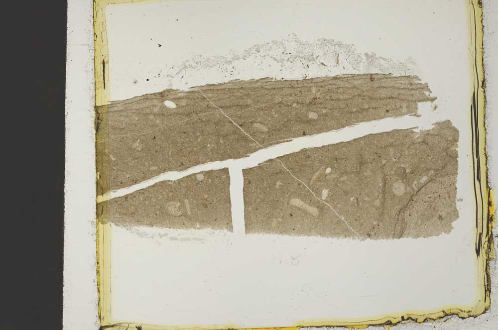 Plane Polarized, S35063