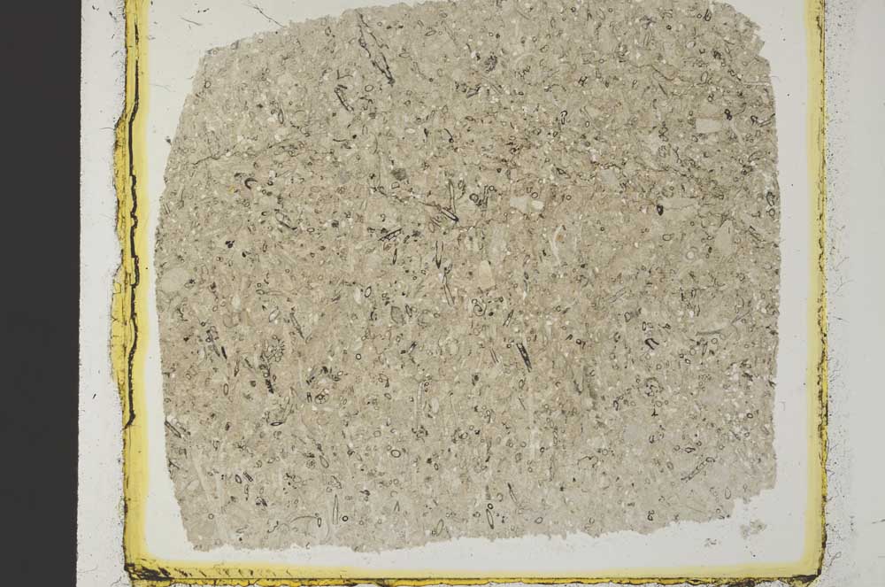 Plane Polarized, S35068