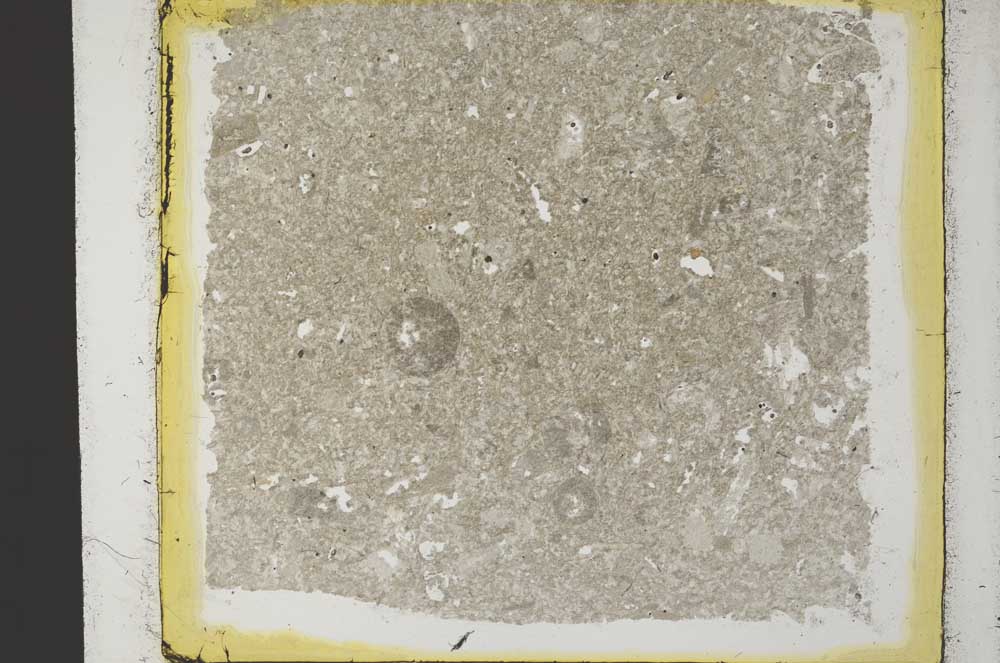 Plane Polarized, S35082