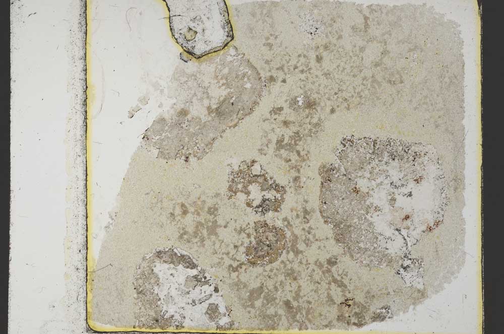 Plane Polarized, S35114