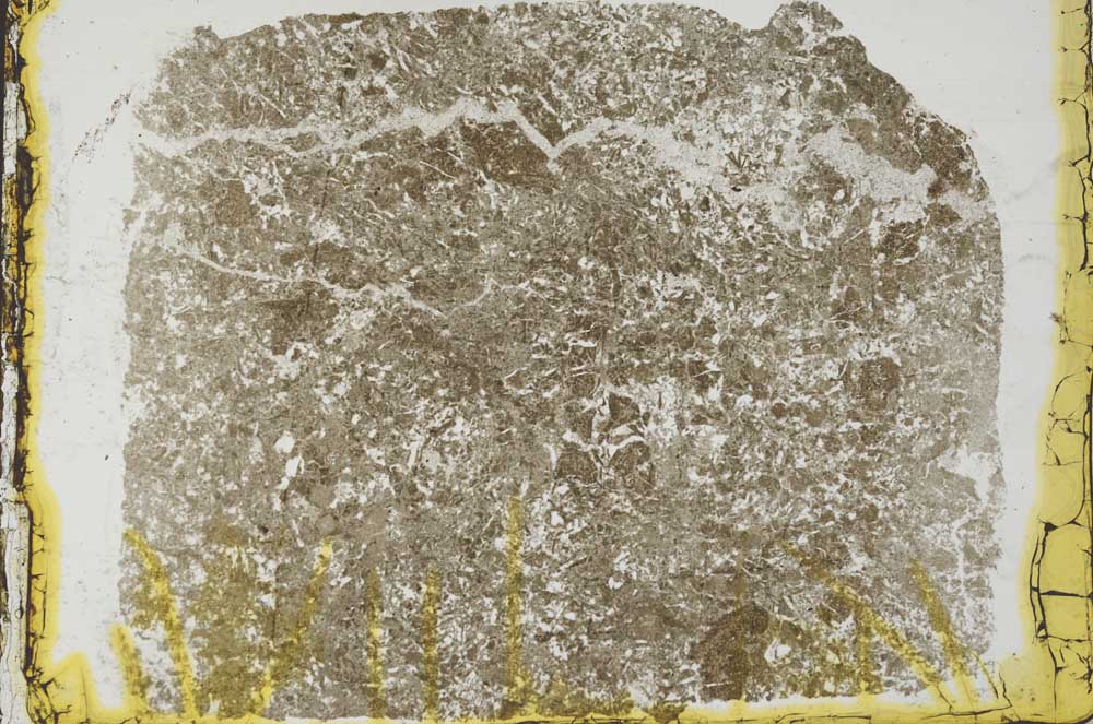 Plane Polarized, S35150