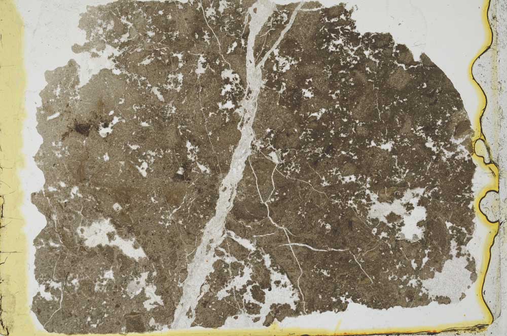 Plane Polarized, S35151