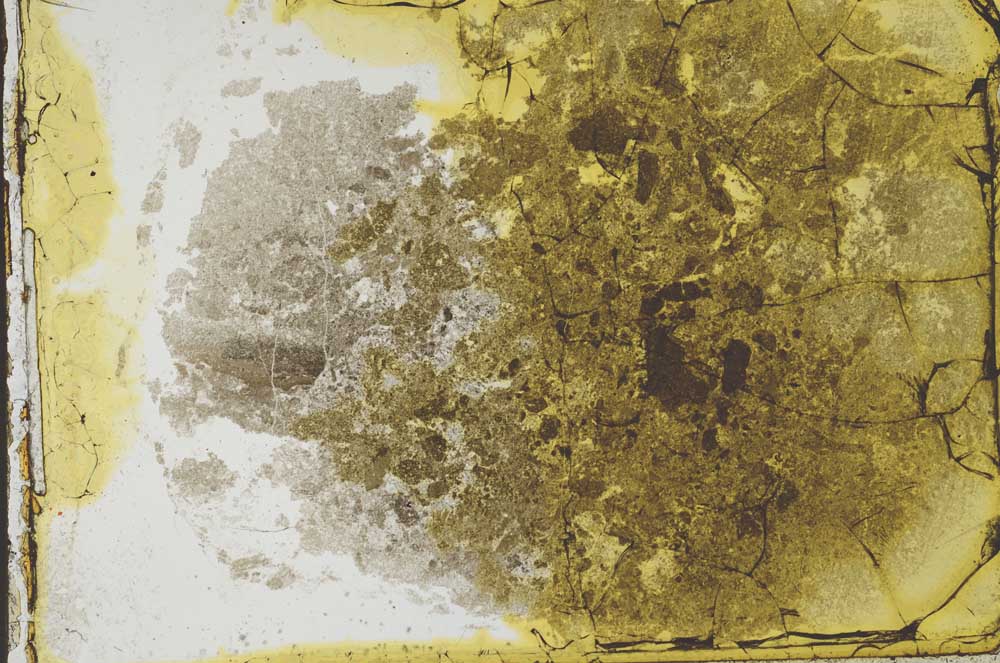 Plane Polarized, S35152