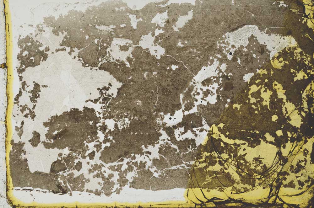 Plane Polarized, S35153