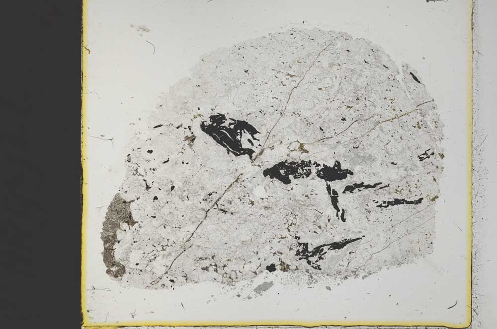Plane Polarized, S35177