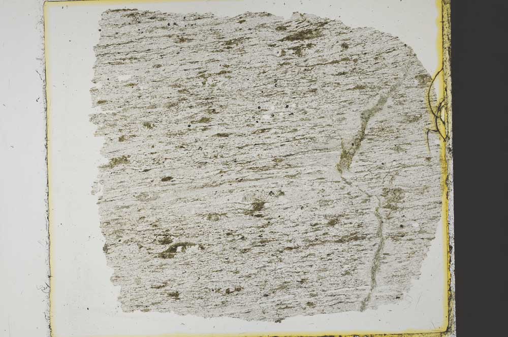 Plane Polarized, S35227