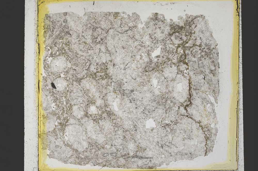 Plane Polarized, S35241