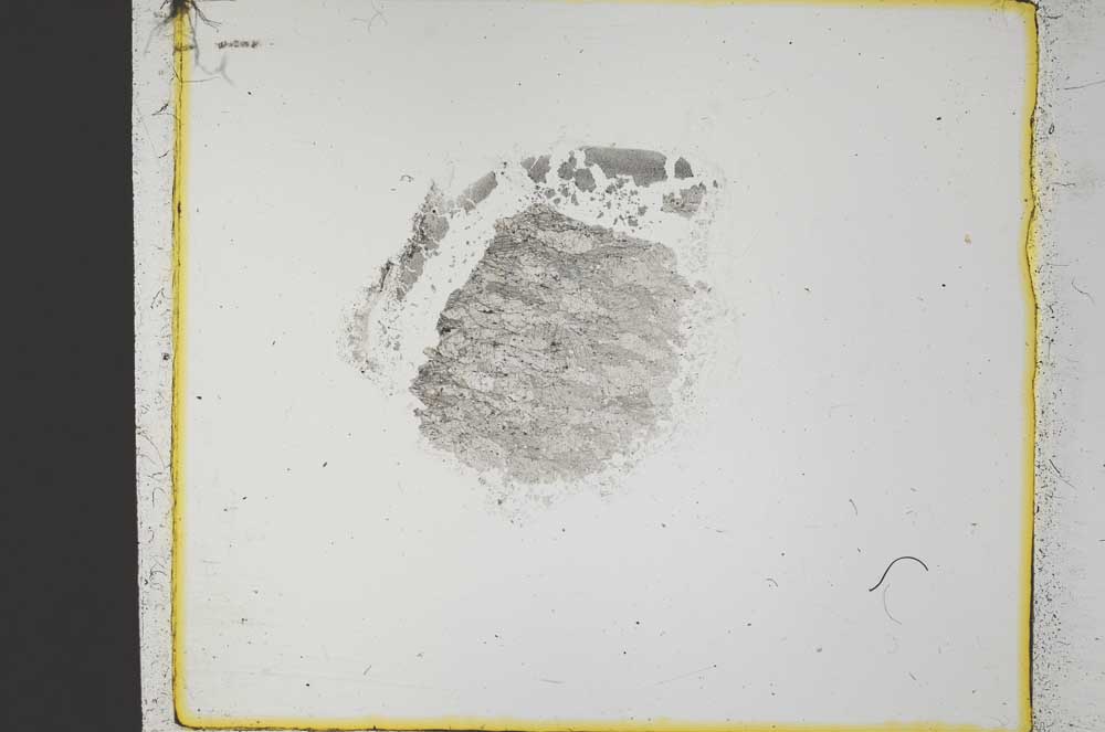 Plane Polarized, S35245