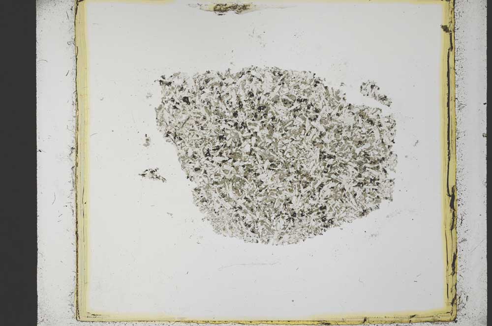Plane Polarized, S35259