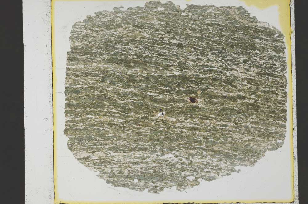 Plane Polarized, S35282