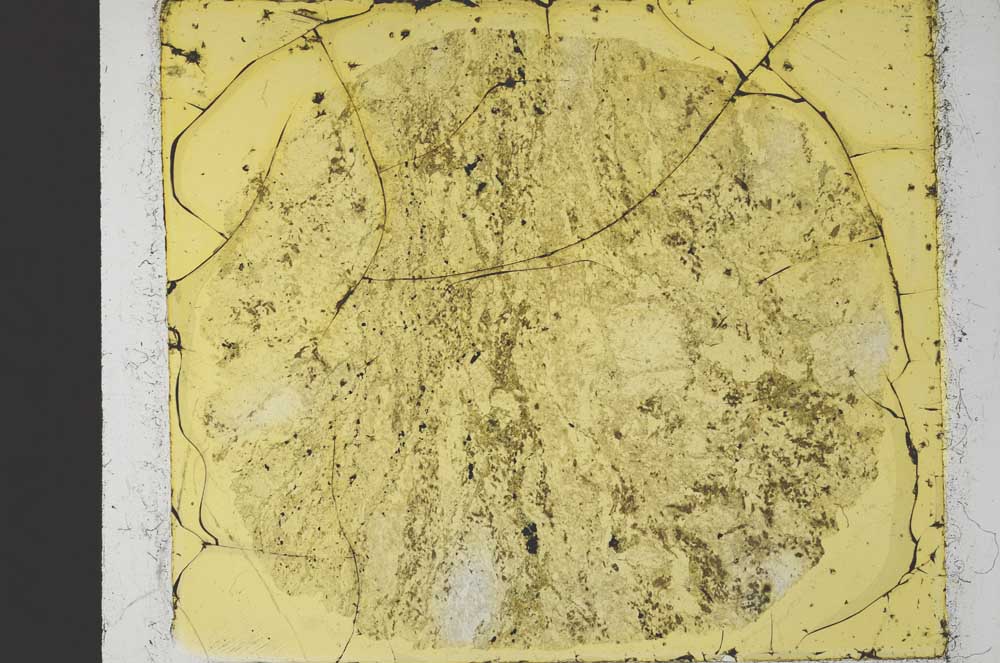 Plane Polarized, S35286