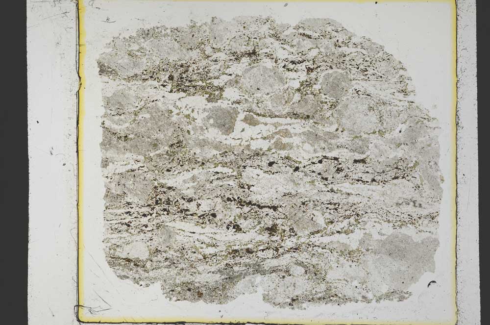 Plane Polarized, S35290