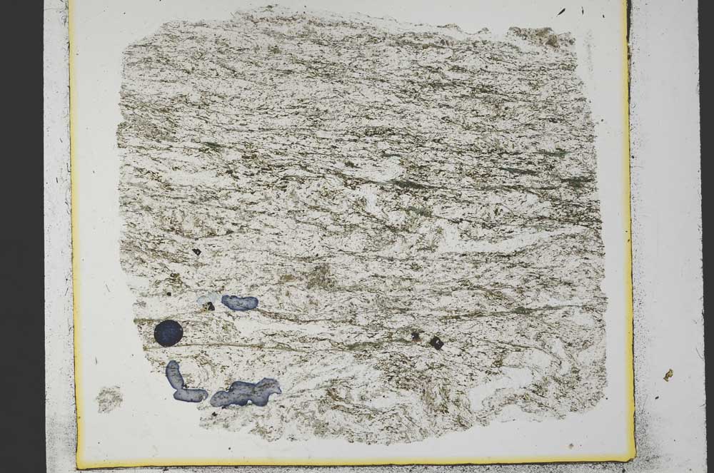 Plane Polarized, S35295