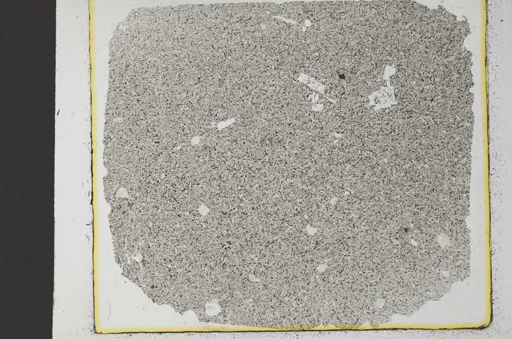 Plane Polarized, S35298
