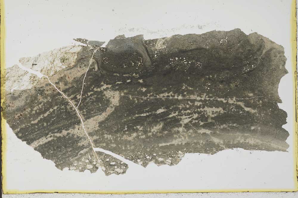 Plane Polarized, S35299