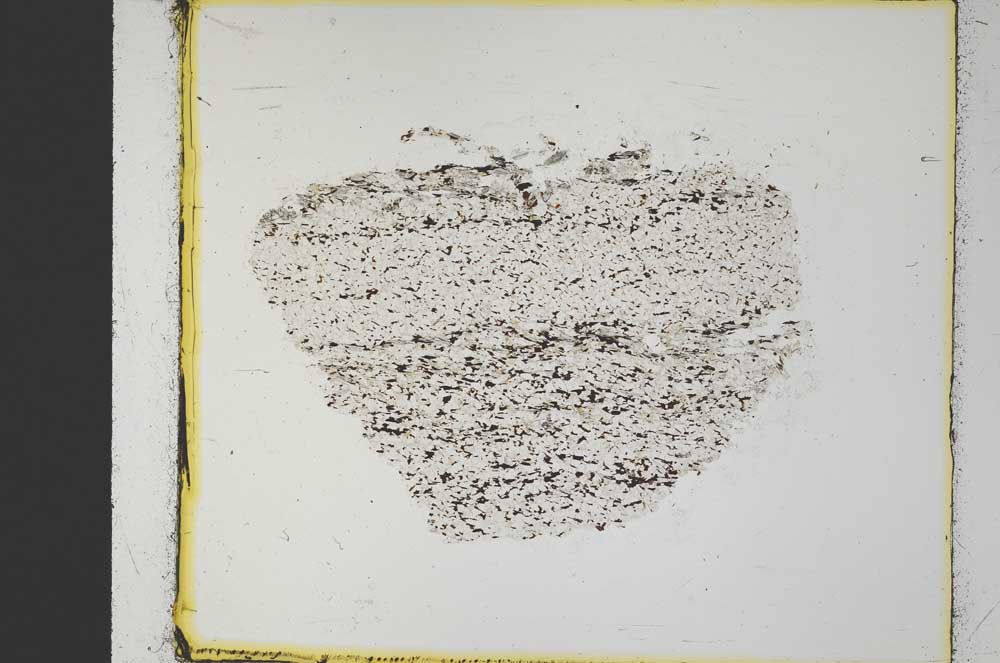 Plane Polarized, S35327
