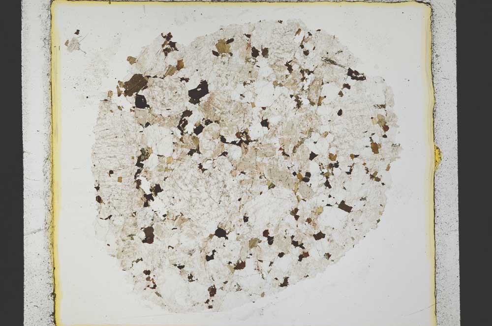 Plane Polarized, S35411