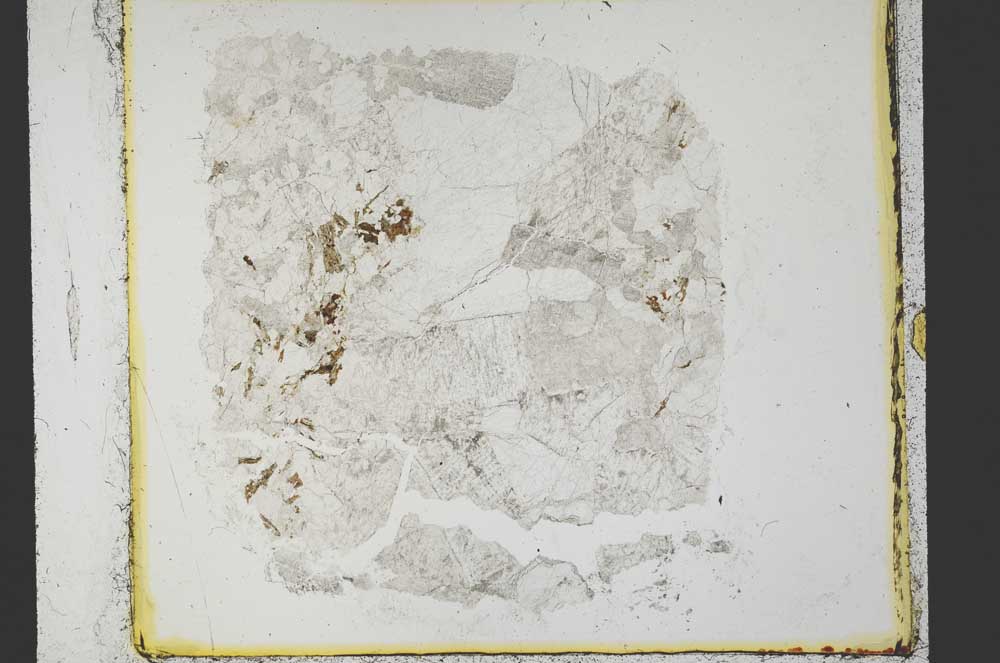 Plane Polarized, S35419