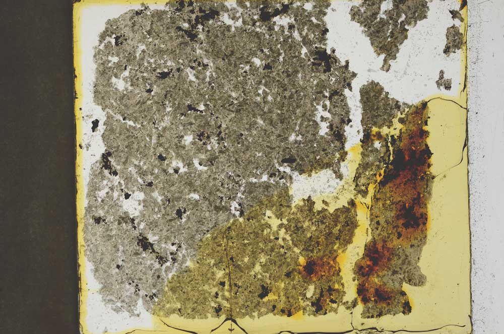Plane Polarized, S35420