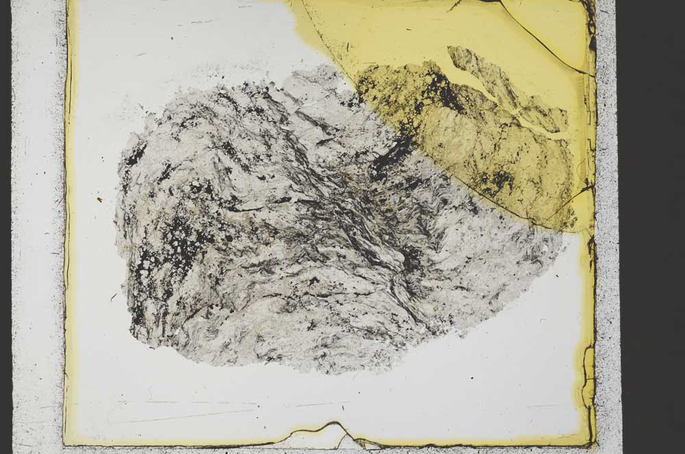 Plane Polarized, S35422