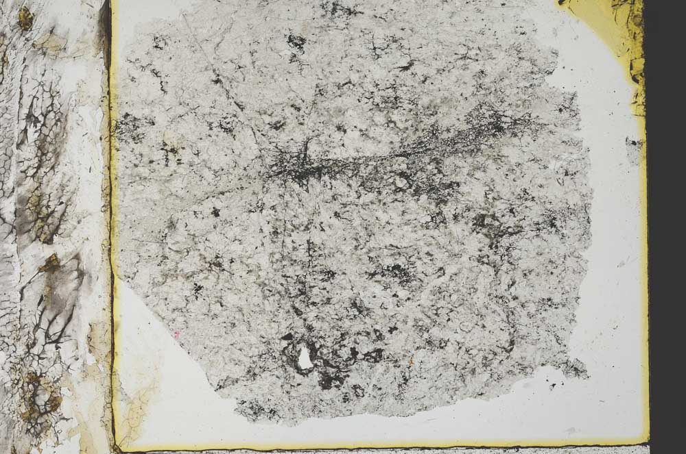Plane Polarized, S35425