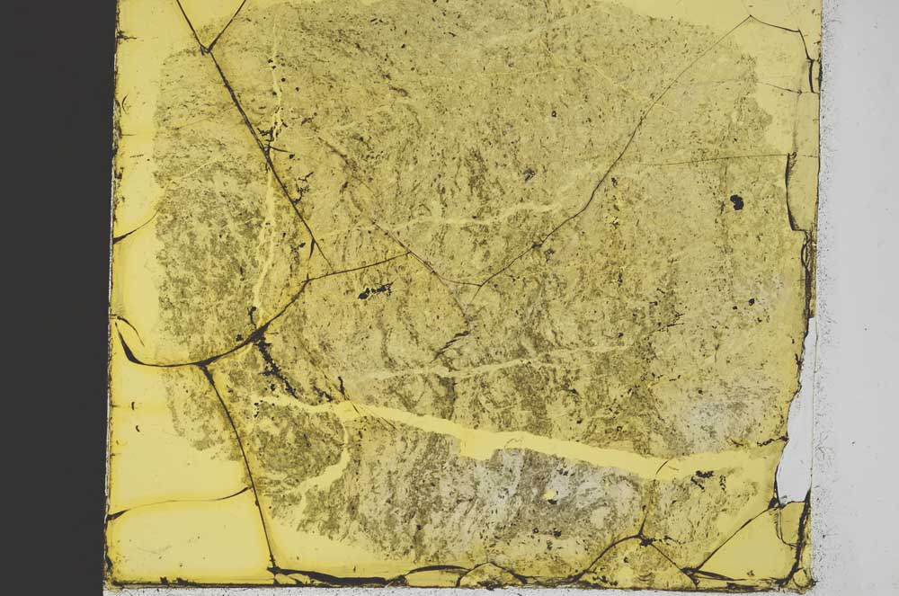 Plane Polarized, S35436