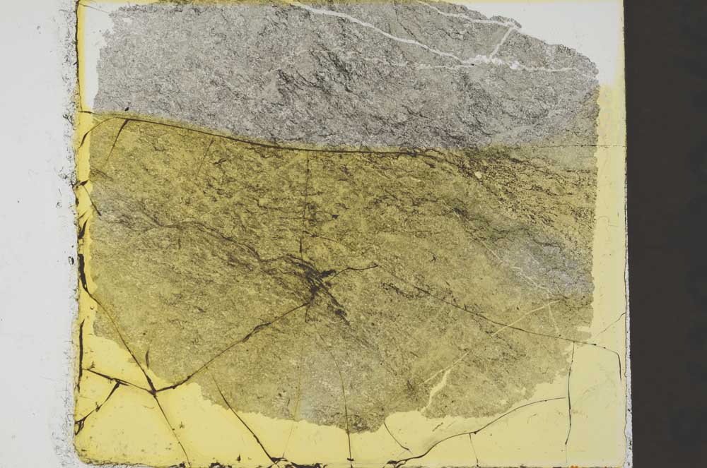 Plane Polarized, S35438